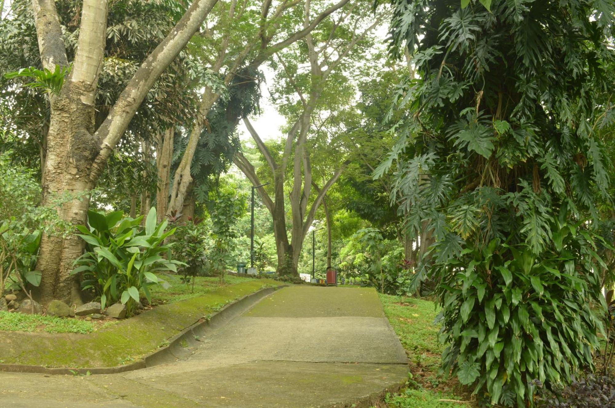 Totumas Lodge Panama City Exteriör bild